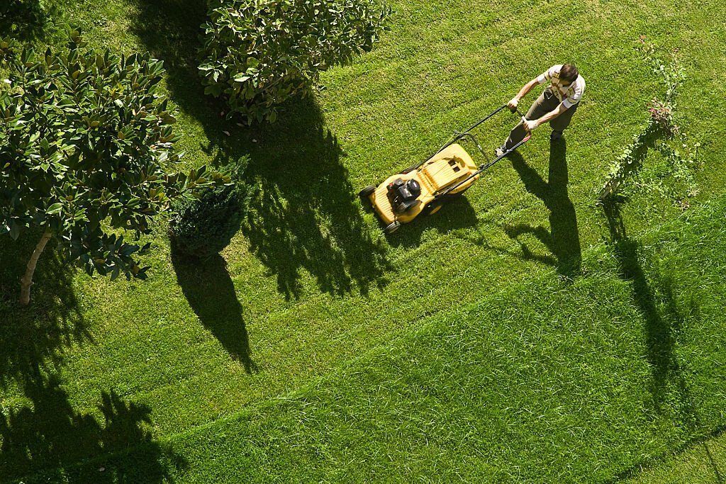 Lawn Cutting Bolivar